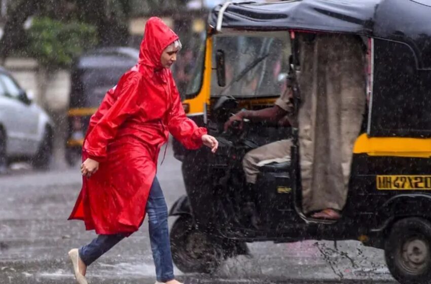  സംസ്ഥാനത്ത് മഴ തുടരും; ഇന്ന് എട്ട് ജില്ലകളിൽ യെല്ലോ അലേർട്ട്